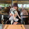 kafelnikova_a Altpins Profile Picture