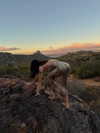 vanessa.rhd Altpins Profile Picture