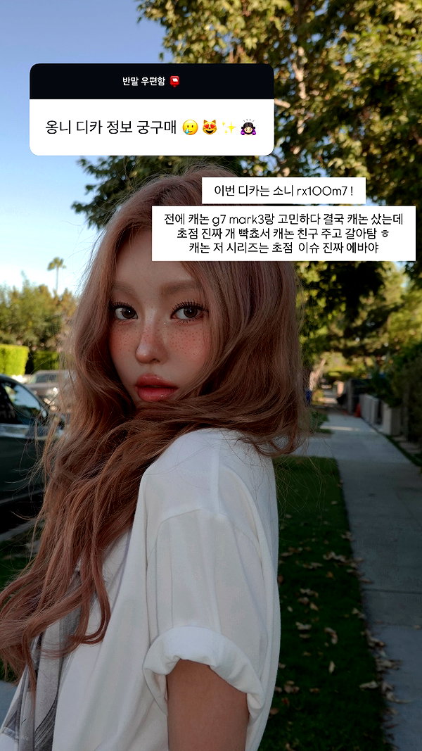 daxbin instagram image archive image