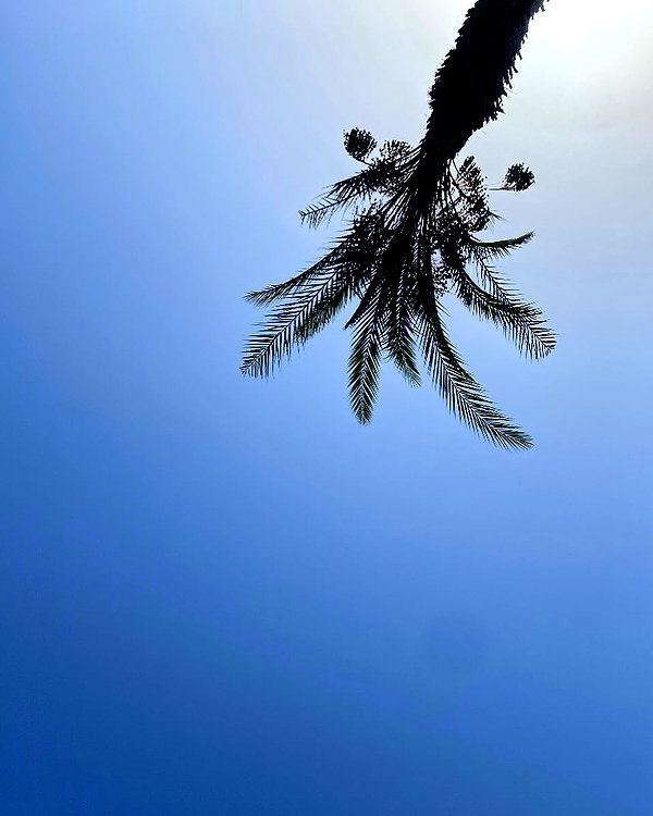 lila.garnik instagram image archive image