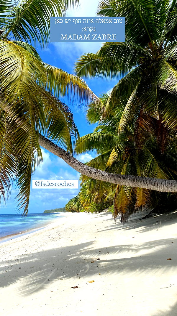 barzomer instagram image archive image