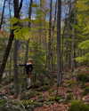 rouxroux.tv Altpins Profile Picture