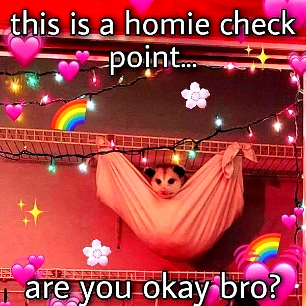 leanbeefpatty instagram image archive image