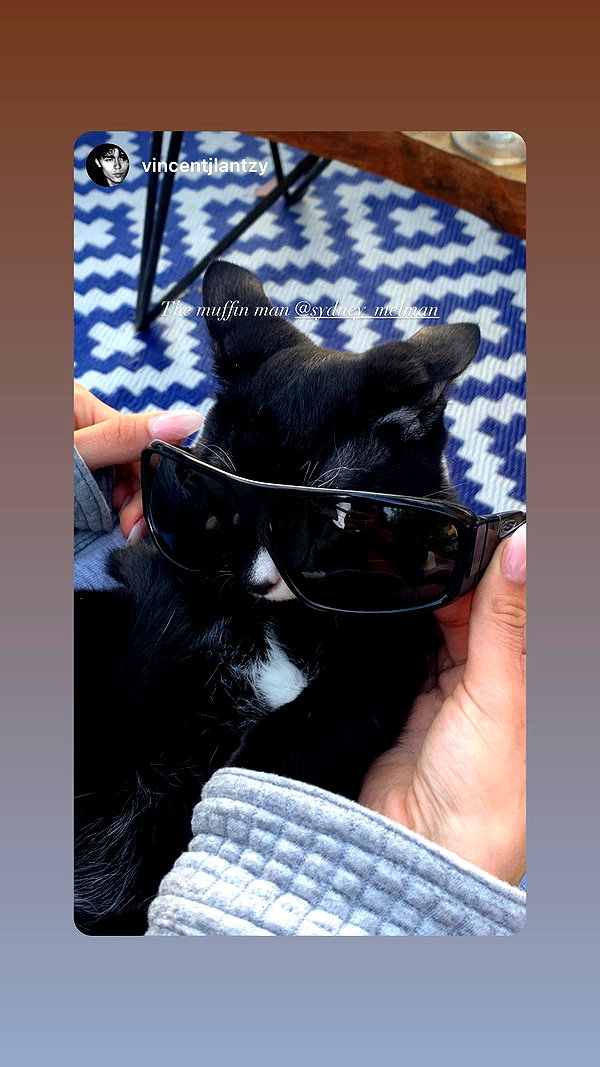sydney_melman instagram image archive image