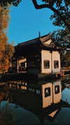 nikoleta.milenova Altpins Profile Picture
