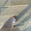 veroni22ka Altpins Profile Picture