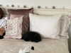 katrina.zaiceva Altpins Profile Picture