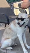 gabbyepstein Altpins Profile Picture