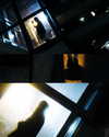 hikairi.1212 Altpins Profile Picture