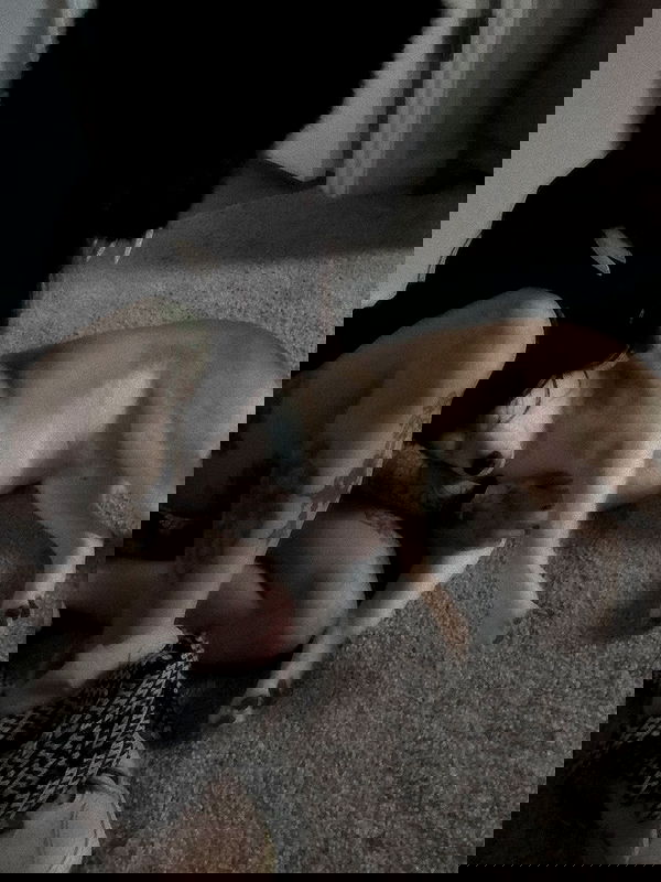 zommmbri zommmbri archive image