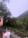 lasaaagna Altpins Profile Picture