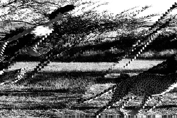 taylor.creeden taylor.creeden archive image