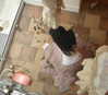 teakitten_ Altpins Profile Picture