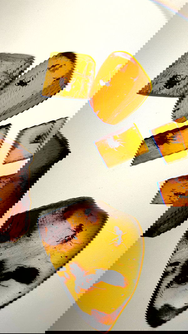 mishel116 mishel116 archive image