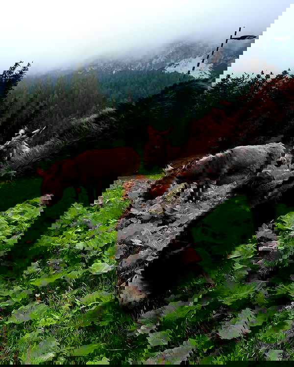 taylor.creeden taylor.creeden archive image