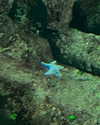 hhh.e_c.v Altpins Profile Picture
