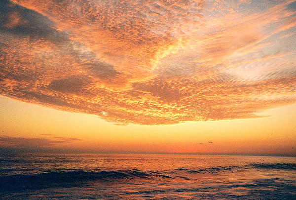 pia__kim instagram image archive image