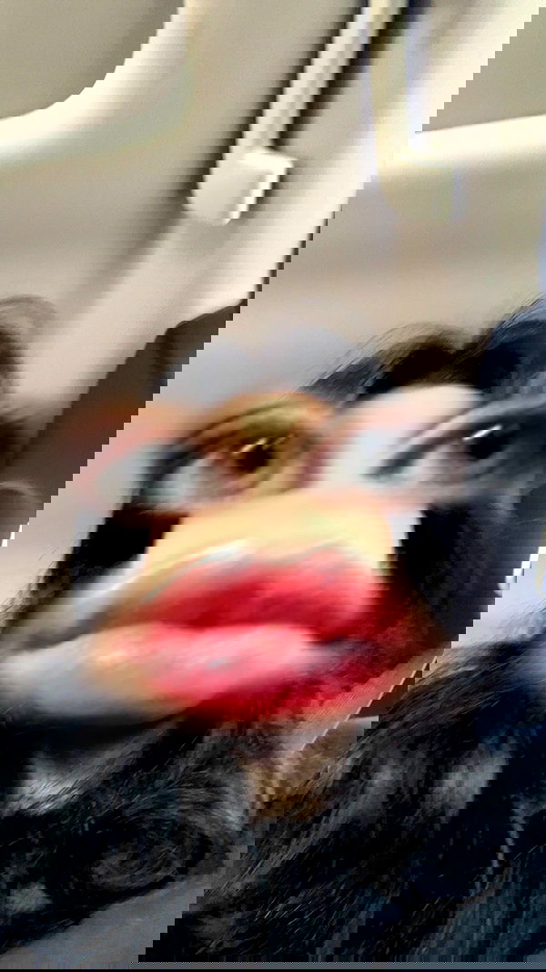 moonliliaght moonliliaght archive image