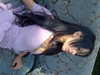 leonanaomii Altpins Profile Picture