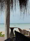pol_cherie Altpins Profile Picture