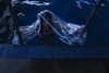 whatsthelocation Altpins Profile Picture