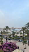 skyleraboujaoude Altpins Profile Picture