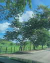 jadelaverne Altpins Profile Picture