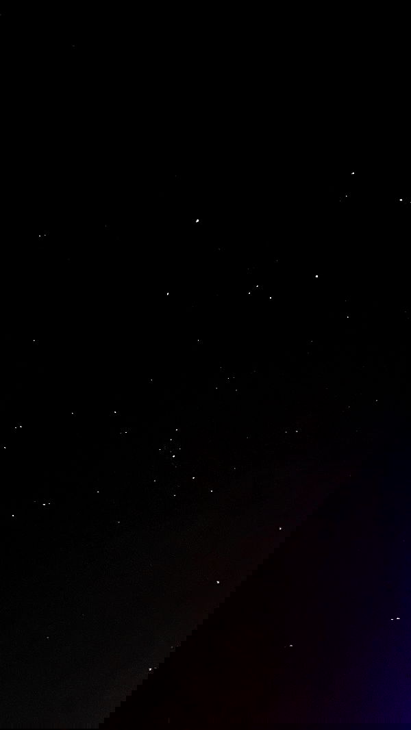 mishel116 mishel116 archive image