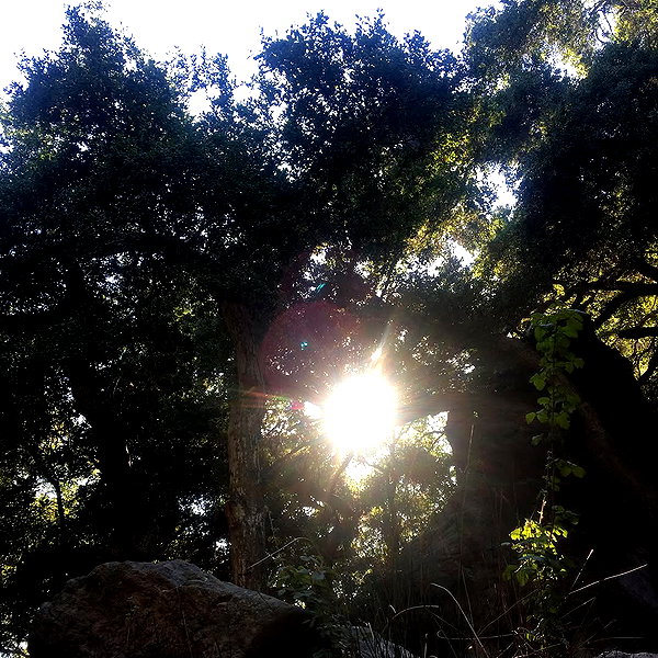haileylayfield instagram image archive image