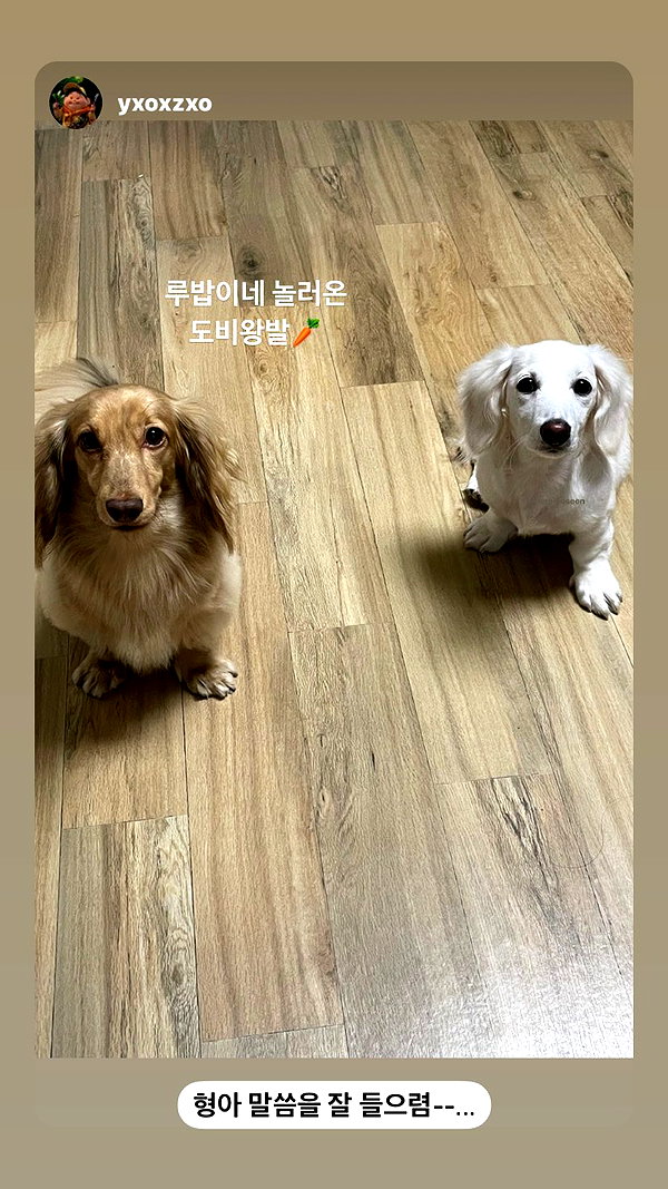Archived image from @heroineseen on Instagram