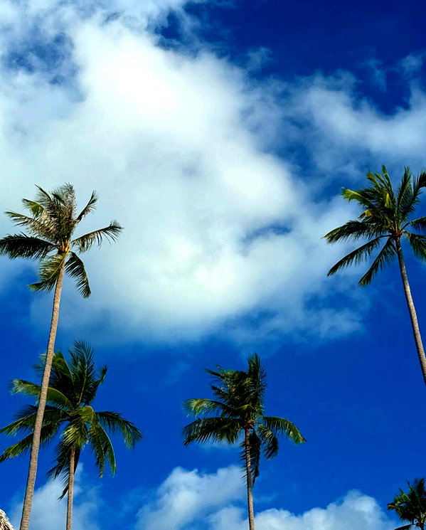 maya.keyy instagram image archive image