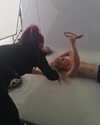 shakira Altpins Profile Picture