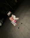macaroni_naomi Altpins Profile Picture