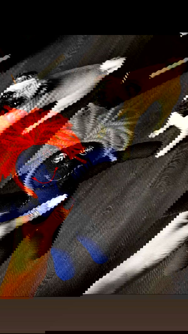 nyityam nyityam archive image