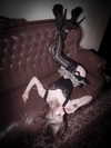 krystallea.cs Altpins Profile Picture