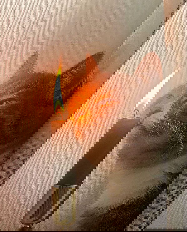 kkulakovaa image ~ Altpins