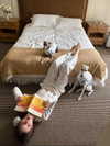 fair_mua Altpins Profile Picture