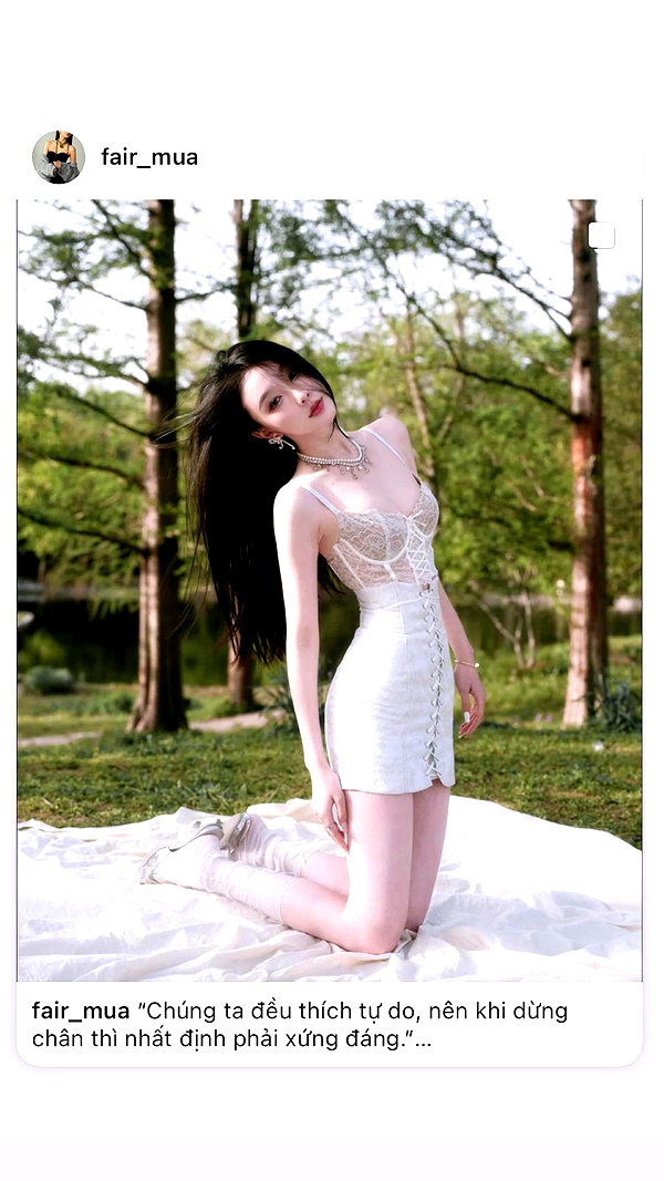 fair_mua archive image