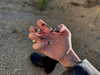 klywrxzzp Altpins Profile Picture