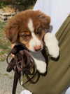emmaaurora Altpins Profile Picture