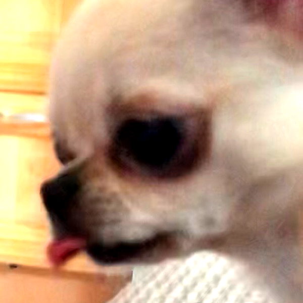 meiiisame instagram image archive image