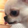 meiiisame Altpins Profile Picture