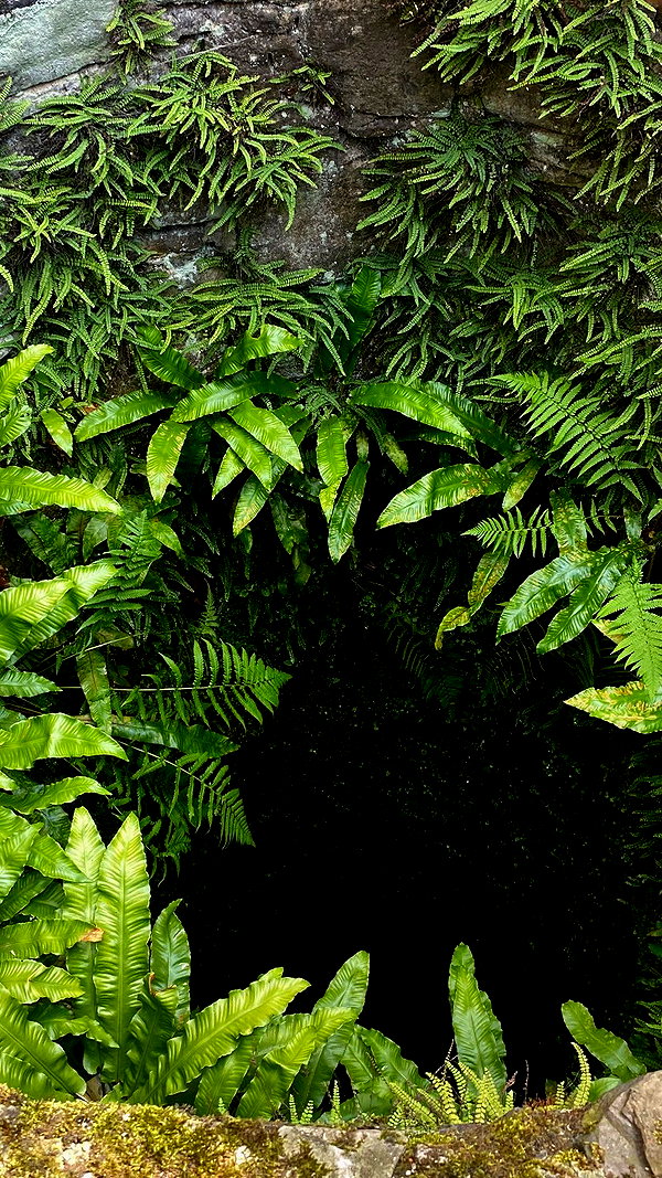 kristti.a instagram image archive image