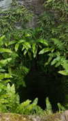 kristti.a Altpins Profile Picture