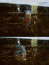 _satomort_ Altpins Profile Picture
