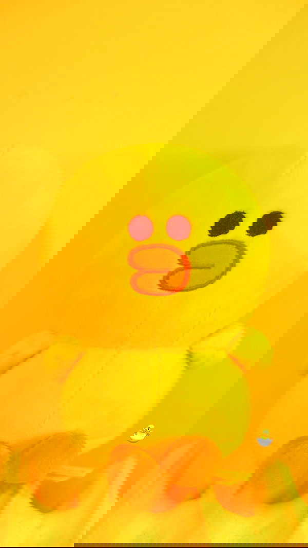 xuewei._.lxw xuewei._.lxw archive image