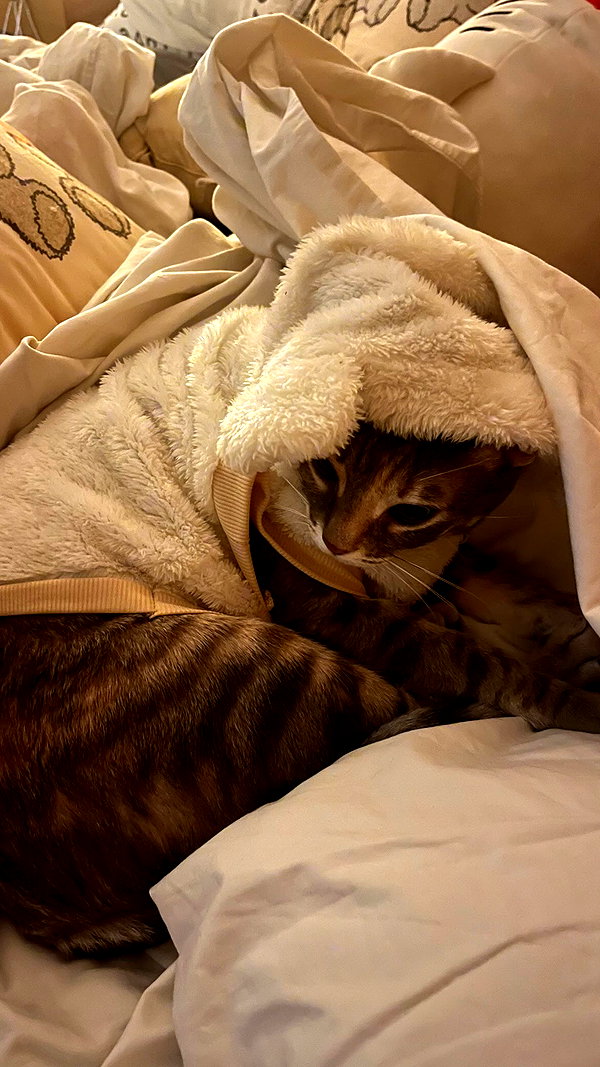Archived image from @notchicore on Instagram
