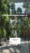 sapir_shemer Altpins Profile Picture
