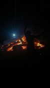 daisy_r_19 Altpins Profile Picture