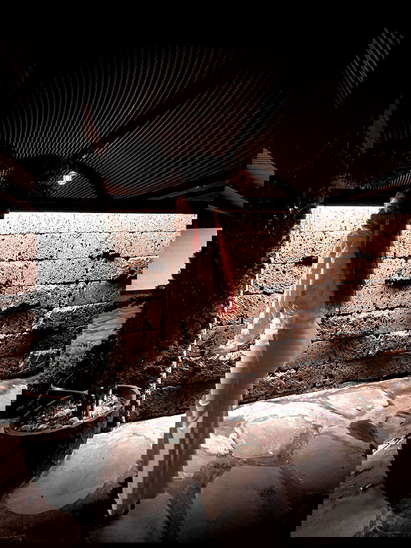 _lil_noa_ _lil_noa_ archive image